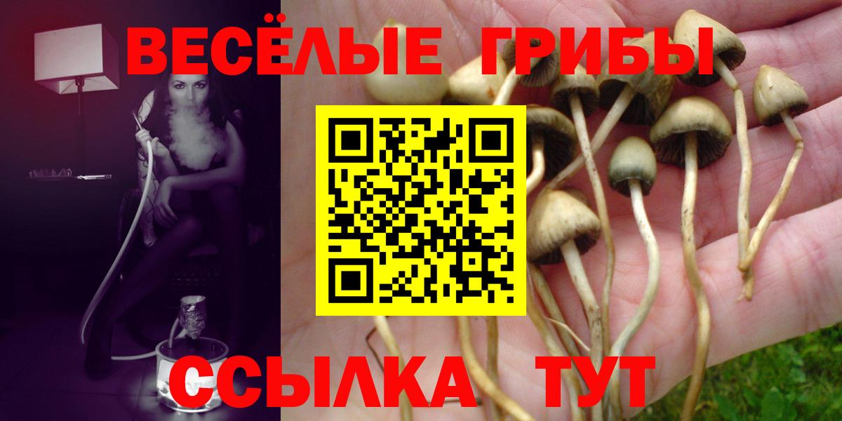 Псилоцибиновые грибы прущие грибы Уфа