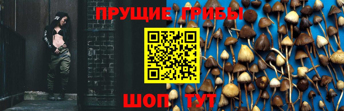 Псилоцибиновые грибы GOLDEN TEACHER  Вход с VPN  закладки  Уфа  Галлюциногенные грибы MAGIC MUSHROOMS 